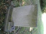 image number TNWELLRD 045